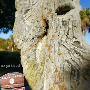 Some people will never like you because your spirit irritates their demons.. So Walk in Beauty #yelpjax #costUnothing2Bkind