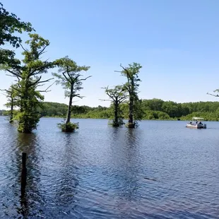The view beyond the deck where they set up tables for outdoor seating.