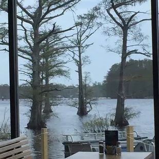 a view of a lake through a window