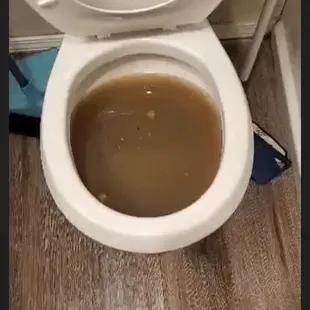 All the apartments are backing up and all the baseboards have mold due to sewer water getting all over the floor and behind them.