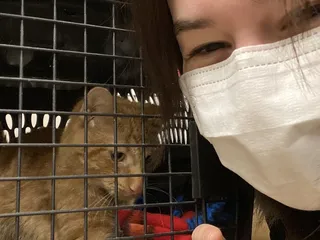 Northwoods Humane Society