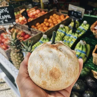 Best Coconuts in Town !  #FreshCoconuts #HealthyDrinks #HealthyFood