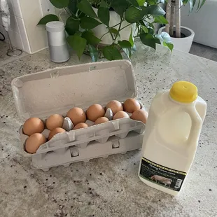 Eggs and raw milk. Taste amazing!