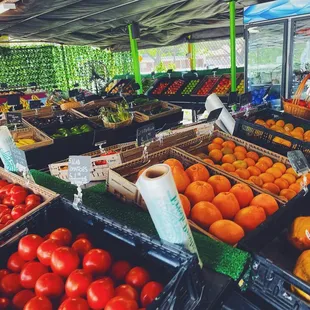 Non Organic Section #FarmersMarket #SundayFarmersMarket