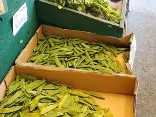 City Produce Fruit Market