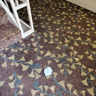 Random sock in the hallway.