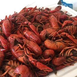 Crawfish was great!