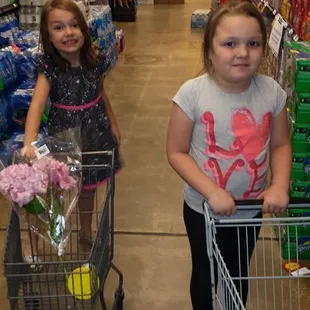 Kid sized shopping carts!