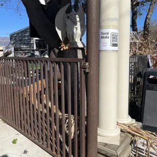 a horse head sticking out of a fence