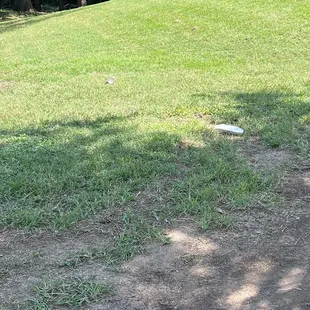 Also, trash!