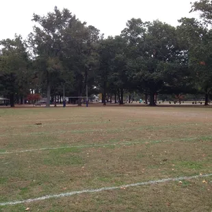 1 of 2 multi-purpose fields