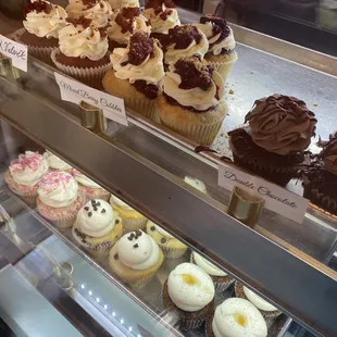 Cupcake display case