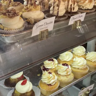 Cupcake display case