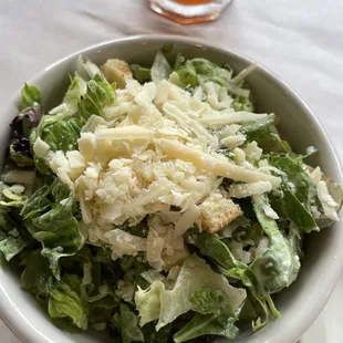 Cesar Salad