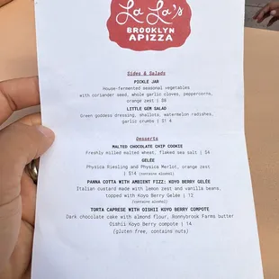 a hand holding a menu