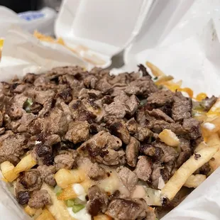 Carne Asada fries
