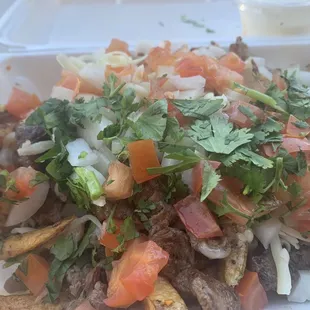 Carne Asada Burrito