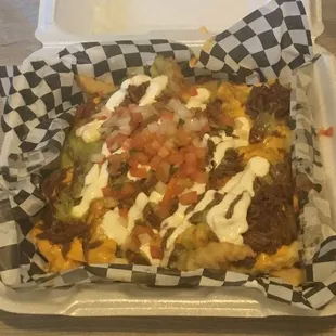 Birria fries