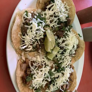 Pork Carnitas Tacos