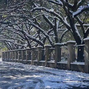 The Best Experience with the snow here in Nola