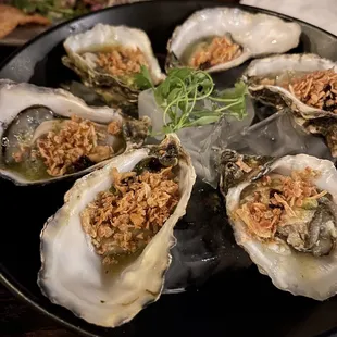 Oysters