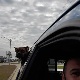 Thanks Clayton me the family and especially as you can see the dog loves it