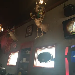 Hanging around.