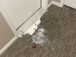 Deer Creek Realty & Management