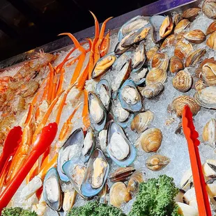 a variety of seafood