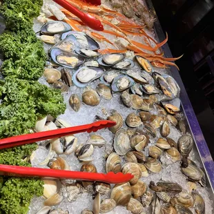 interior, oysters and mussels