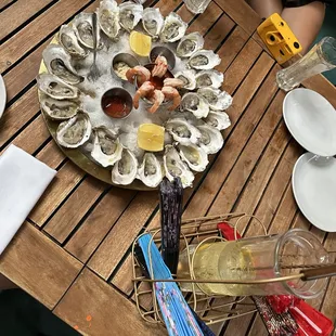 Summer in the backyard