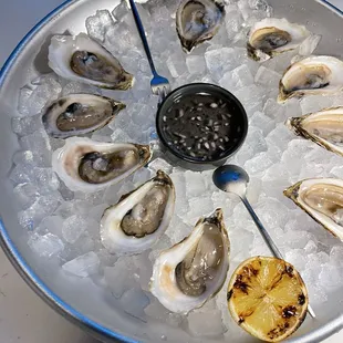 Oysters