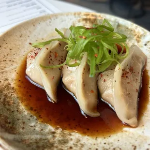 Duck Dumplings