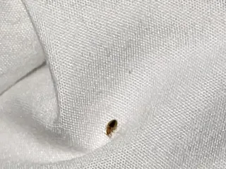 Western Holiday Lodge