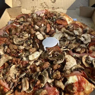 All meat with mushroom Amazing