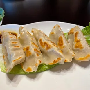 Pan Fried Dumplings