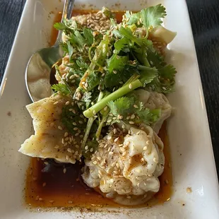 Szechuan Dumplings