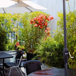 Beautiful Outdoor Patio