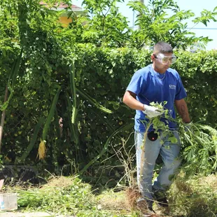 Lanakila Grounds &amp; Custodial Services