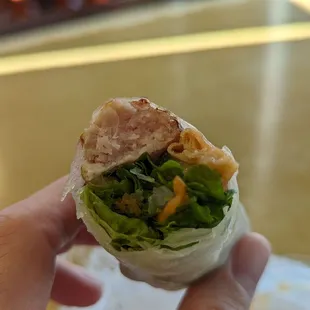 Salmon Spring Rolls