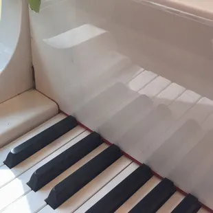 Ready to learn? Piano is for everyone. A Keyboard is a great instrument to start, as well.