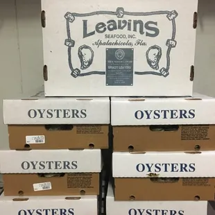 FRESH OYSTERS!!! FROM APALACHICOLA (FLORIDA)