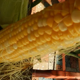 an ear of corn