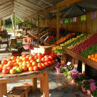 a variety of fruits and vegetables