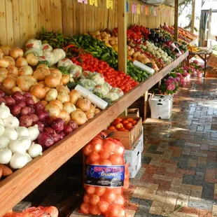 a variety of vegetables