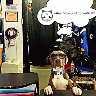 Blue the pawn broker