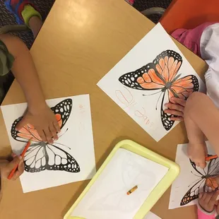 Learning about the California Monarch.