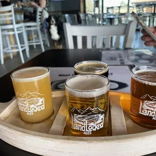 a variety of beers on a tray