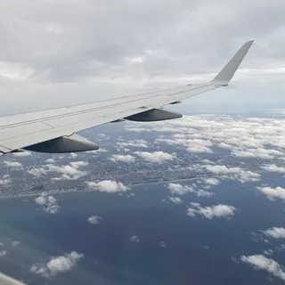 A M.