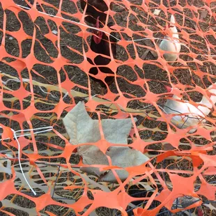 We have chickens so you don't have to be.  Ask about how to start your own urban farm today!